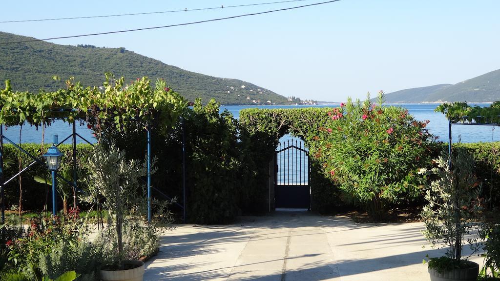 Apartments Odesa Herceg Novi Bagian luar foto